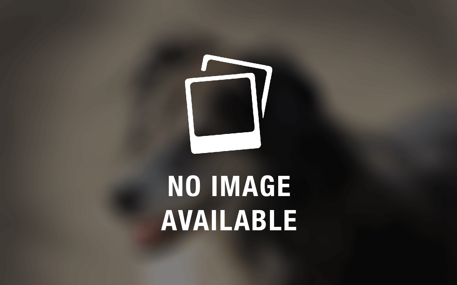no-image-available Past Litters
