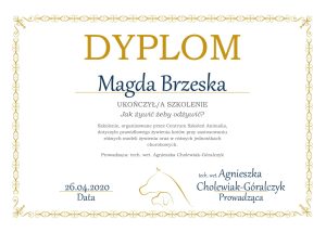 Magda-Brzeska-1-300x214 Ukończone kursy
