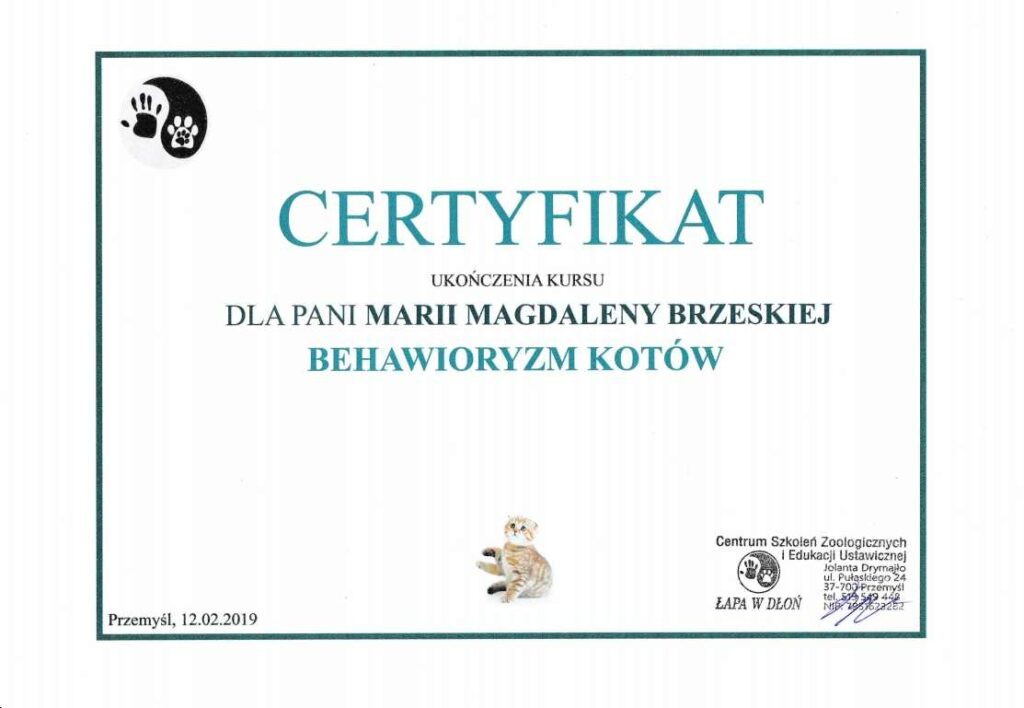 behawioryzm-1024x708 Ukończone kursy