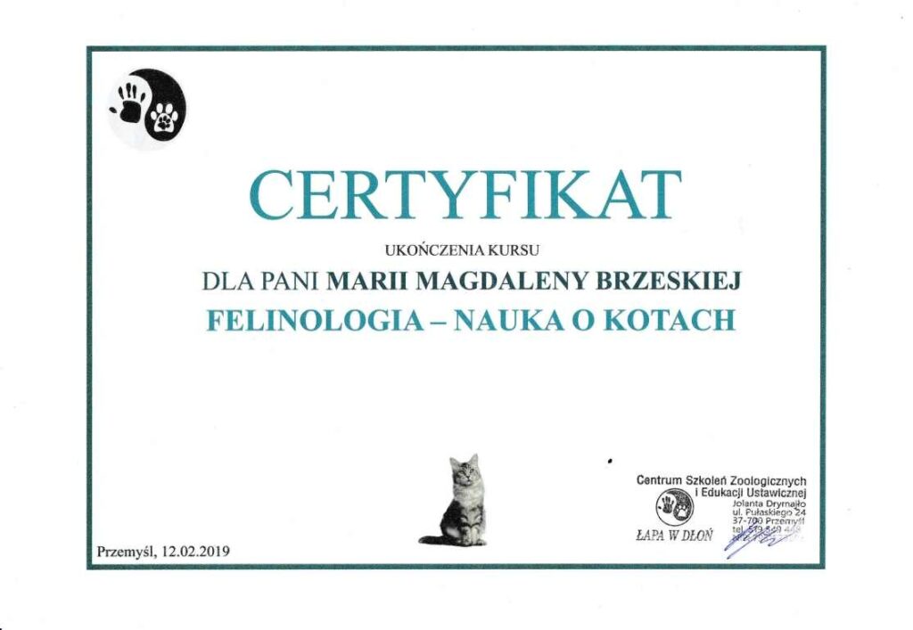 felinolog-1024x707 Ukończone kursy