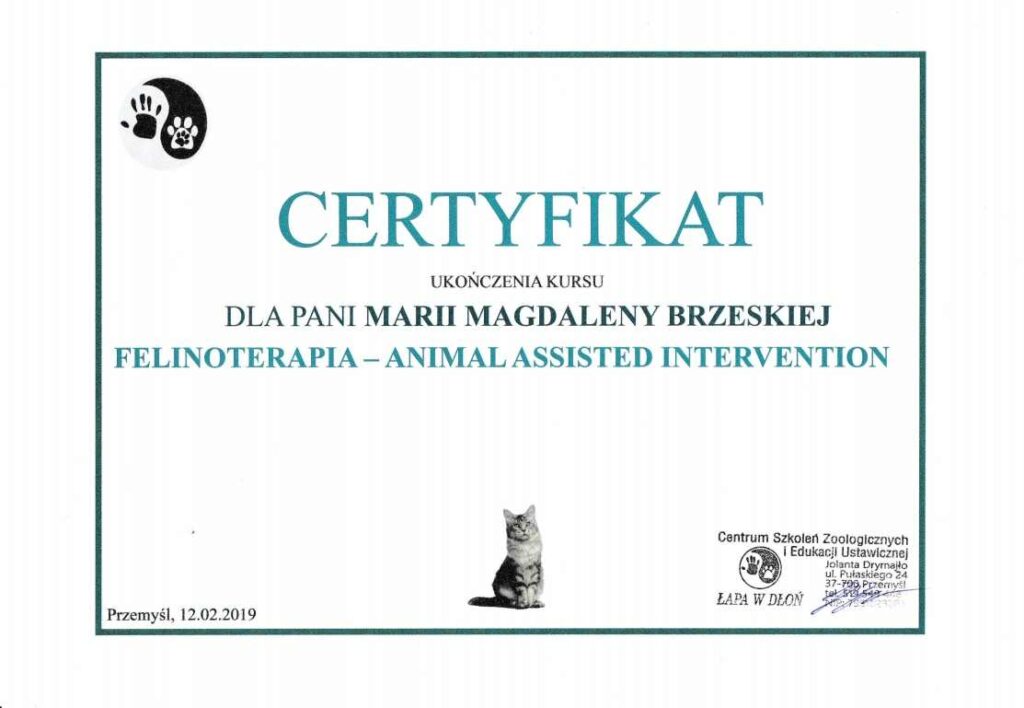 felinoterapia-1024x708 Ukończone kursy