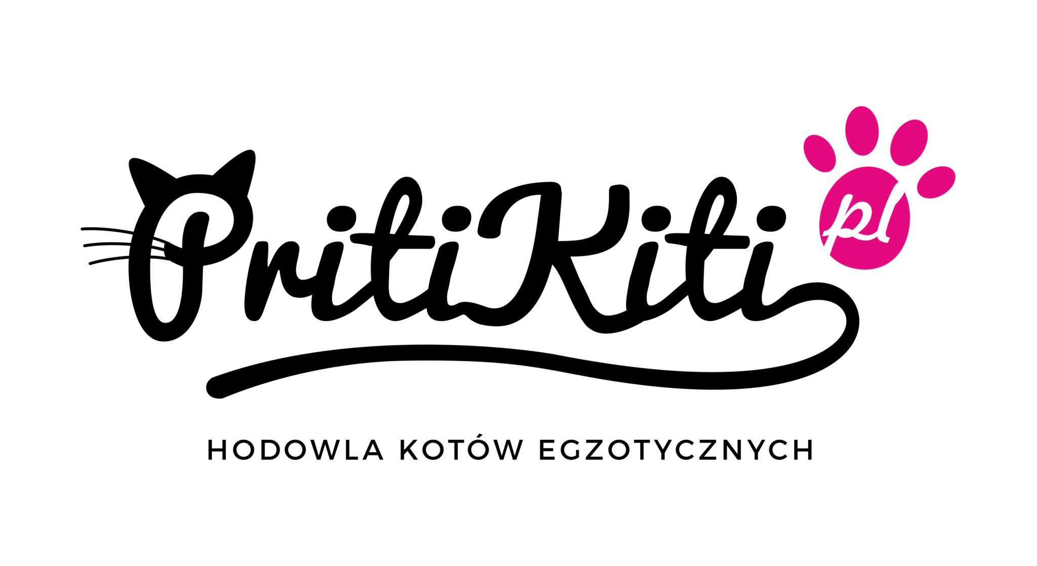 PRITIKITI-logo-v3-CRV-RGB300 Home