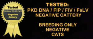tested-300x126 Hodowla Pritikiti*Pl