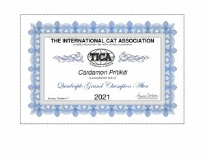 Cardamon-Pritikiti-QGCA-1-300x232 Osiągnięcia
