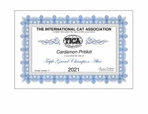 Cardamon-Pritikiti-TGCA-1-300x232 Osiągnięcia