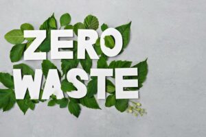 Zero waste dla kota w Polsce