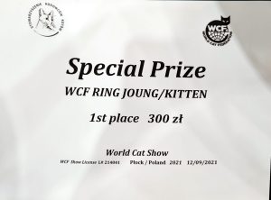 IMG20210912140650-300x222 Światowa Wystawa Kotów Płock