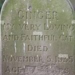cats-gravestone-peckover-house-wisbech-C6G4DN-150x150 1 Listopada - pamiętajmy