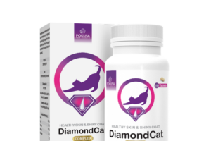 Pokusa Diamond Cat – poprawa okrywy włosowej