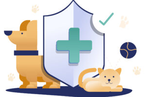 NFZ dla zwierząt? Jak ubezpieczyć zdrowie kota?
