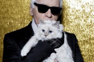 Karl Lagerfeld i jego kotka Choupette