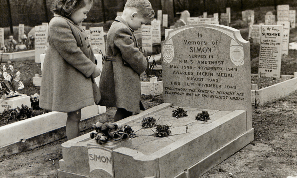 Godne pożegnanie przyjaciela, który jest zwierzęciem