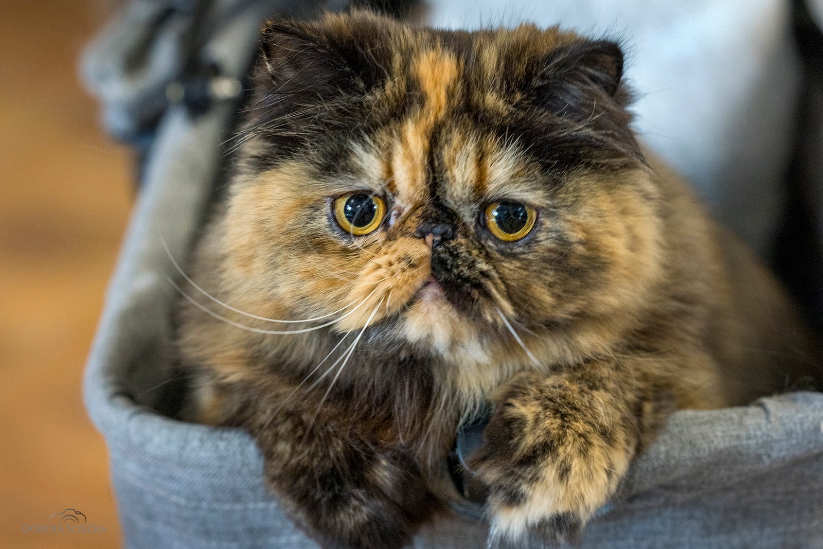 Pielęgnacja oczu: zrozumienie i rozwiązywanie problemów