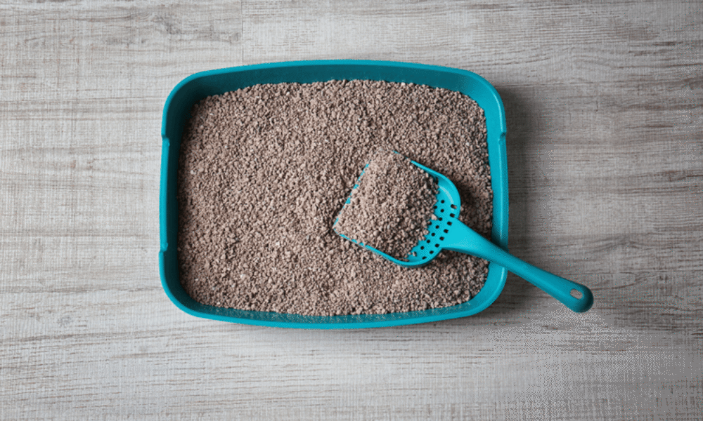 33 sposoby na wykorzystanie żwirku do kuwety, o których nie miałeś pojęcia