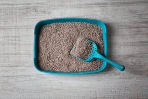 33 sposoby na wykorzystanie żwirku do kuwety, o których nie miałeś pojęcia