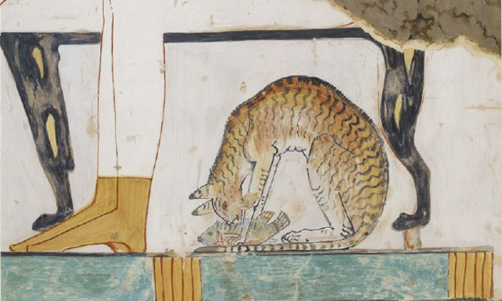 Jak koty pojawiły się na świecie: khmerska legenda