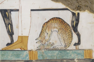 Jak koty pojawiły się na świecie: khmerska legenda