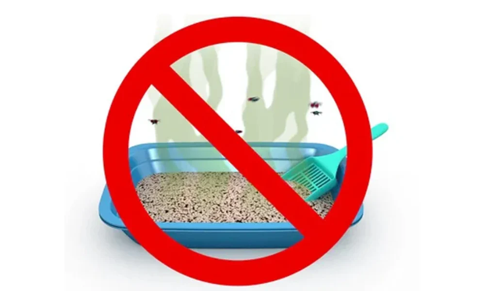 Obalamy mity na temat kocich żwirków