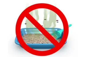 Obalamy mity na temat kocich żwirków